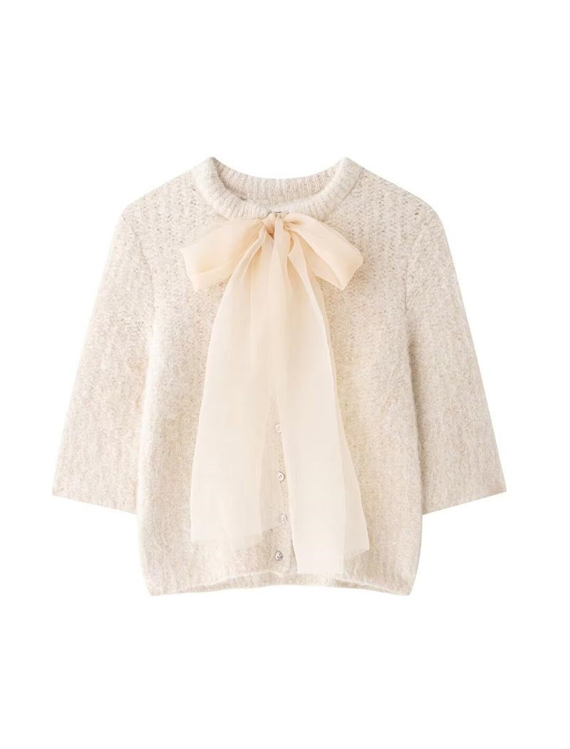 Mesh Butterfly Knot Knit Top