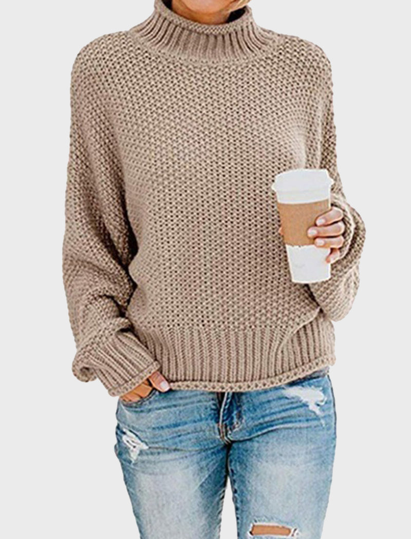 Chunky Knit Turtleneck Sweater