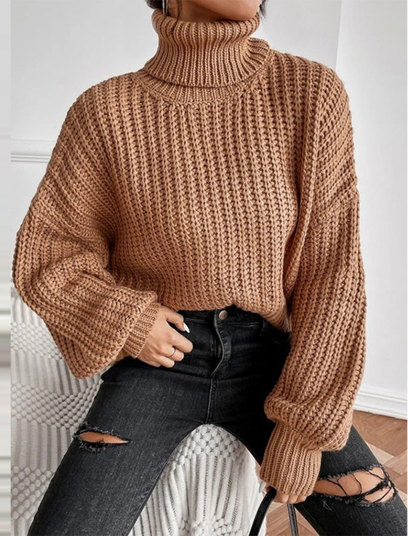 Chunky Turtleneck Knit Sweater