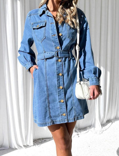 Buttoned Belted Denim Mini Dress