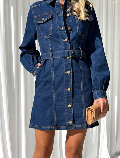 Buttoned Belted Denim Mini Dress