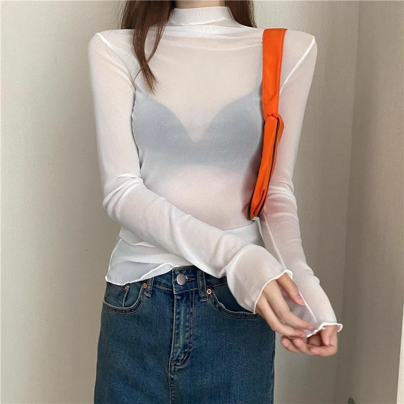 Sheer High Neck Long Sleeve Top