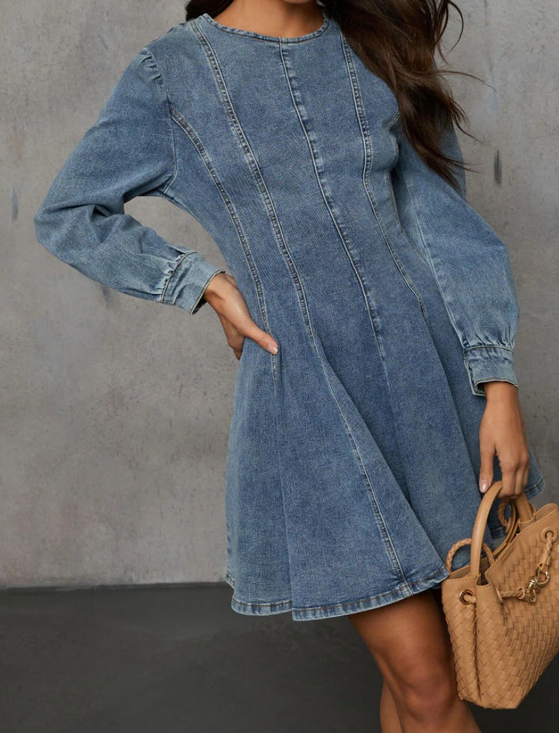 Puff Sleeve Denim Mini Dress