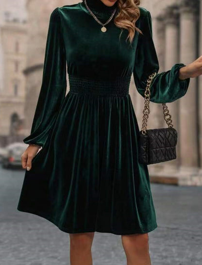 Velvet Long Sleeve Dress