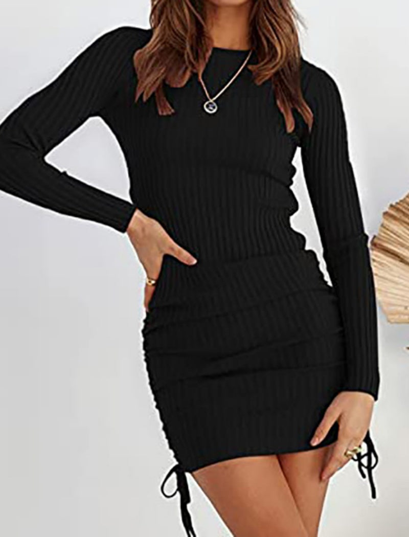 Knit Slim Fit Pleated Long Sleeve Dress