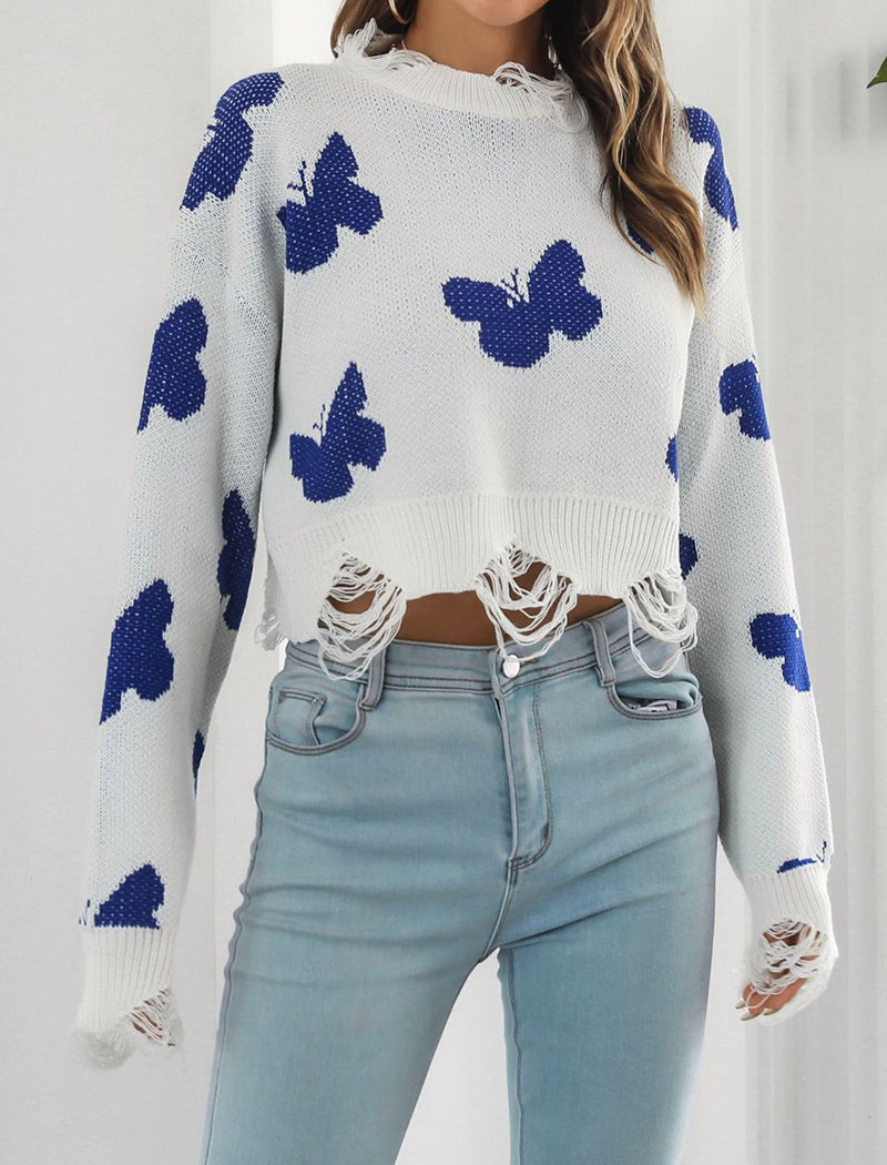 Butterfly Knit Sweater with Lace Trim