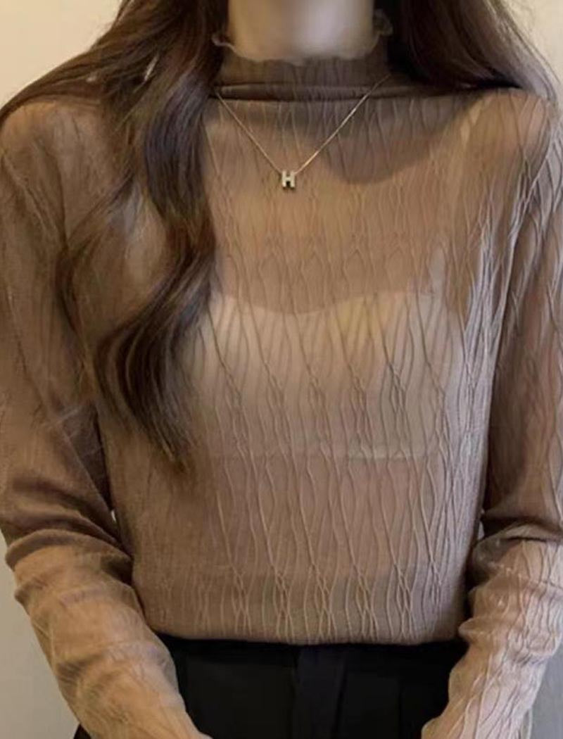 Sheer High Neck Long-Sleeve Top