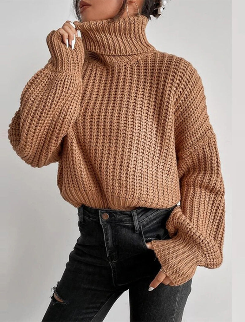 Chunky Turtleneck Knit Sweater