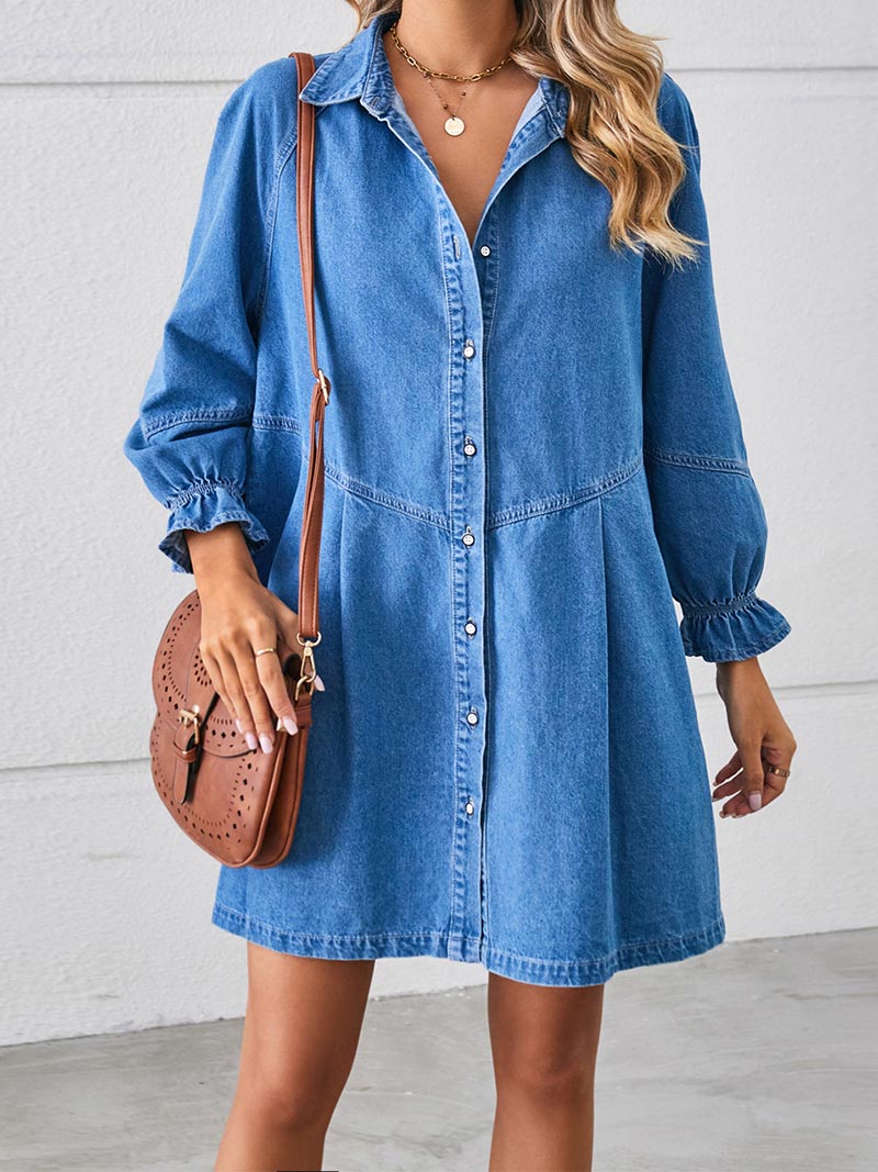 Button-Down Long Sleeve Denim Dress