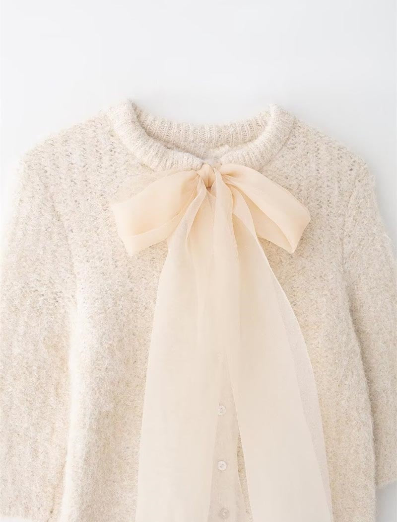 Mesh Butterfly Knot Knit Top