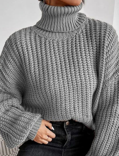 Chunky Knit Turtleneck Sweater