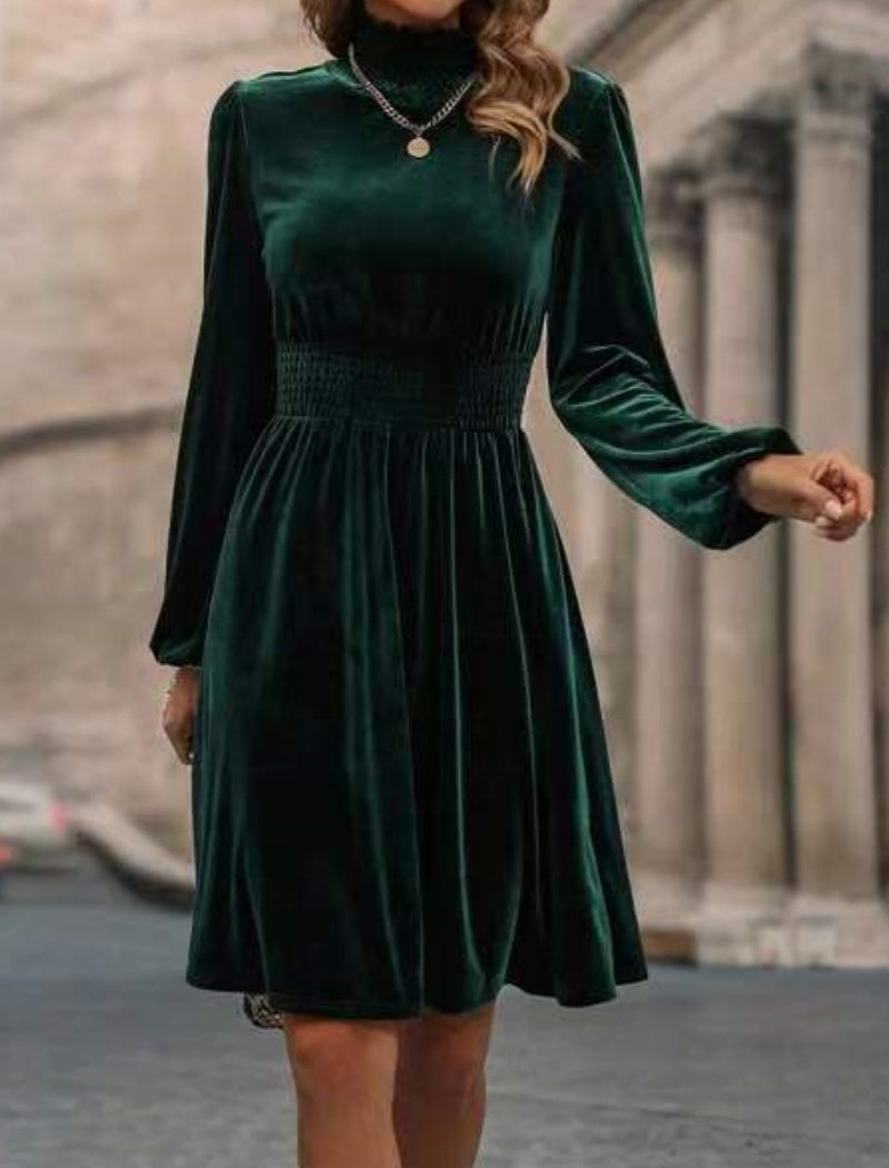 Velvet Long Sleeve Dress