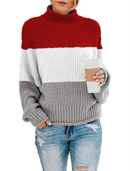 Colorblock Knit Turtleneck Sweater