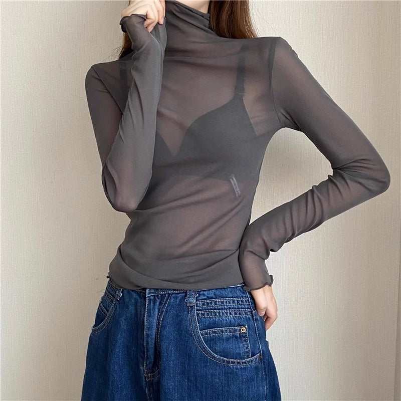 Sheer High Neck Long Sleeve Top