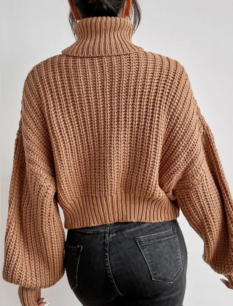 Chunky Turtleneck Knit Sweater