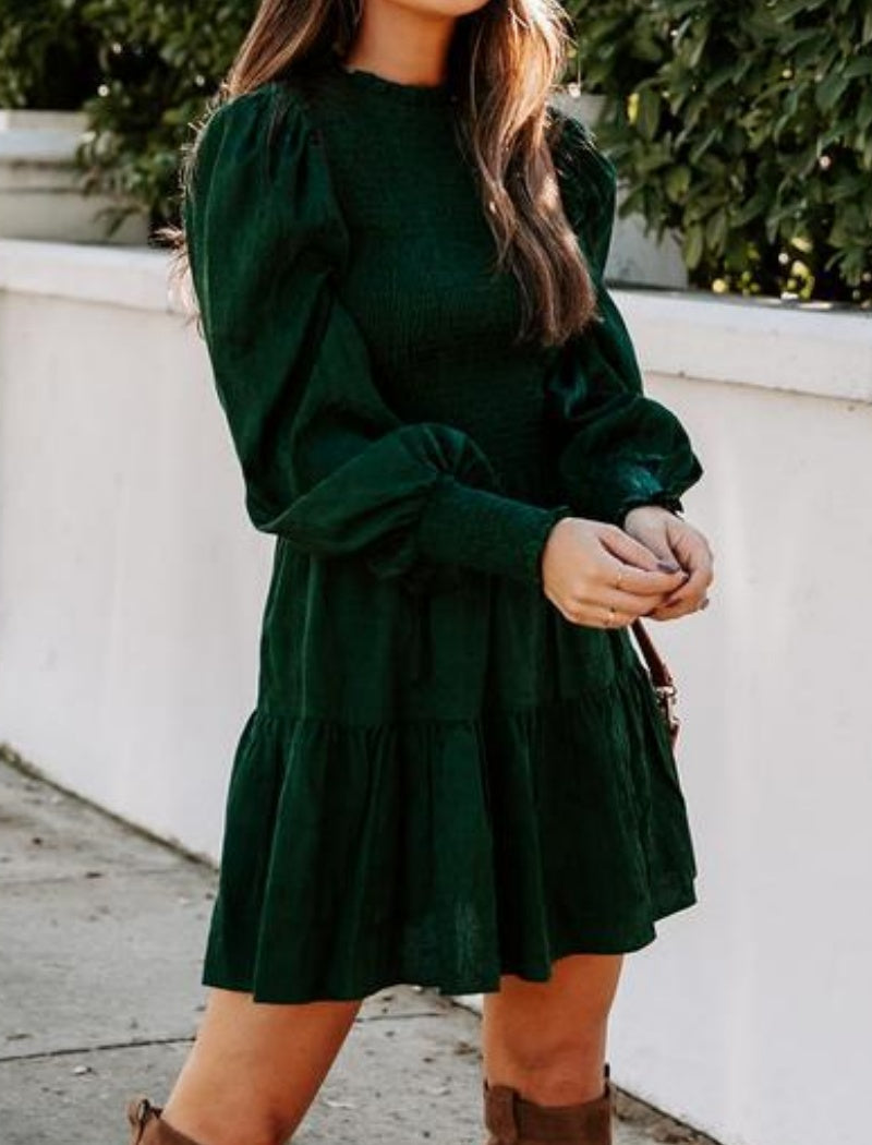 Puff Sleeve Smocked Mini Dress