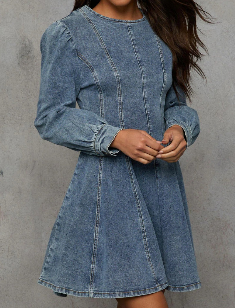 Puff Sleeve Denim Mini Dress