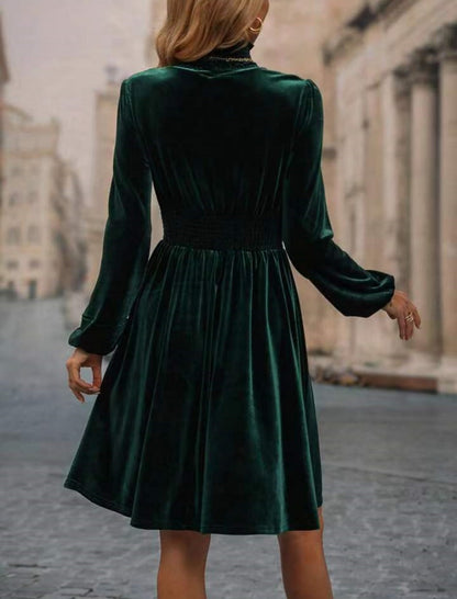 Velvet Long Sleeve Dress