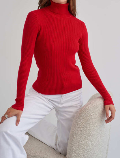 Ribbed Turtleneck Sweater