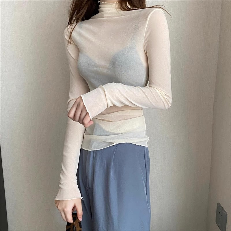 Sheer High Neck Long Sleeve Top