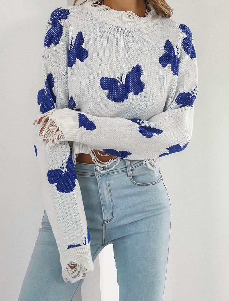 Butterfly Knit Sweater with Lace Trim