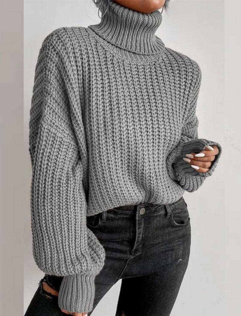 Chunky Knit Turtleneck Sweater