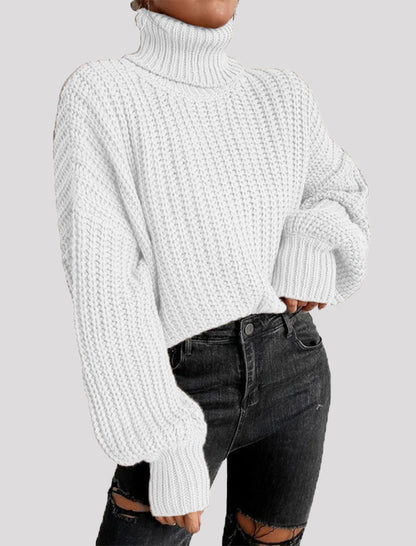 Chunky Turtleneck Knit Sweater