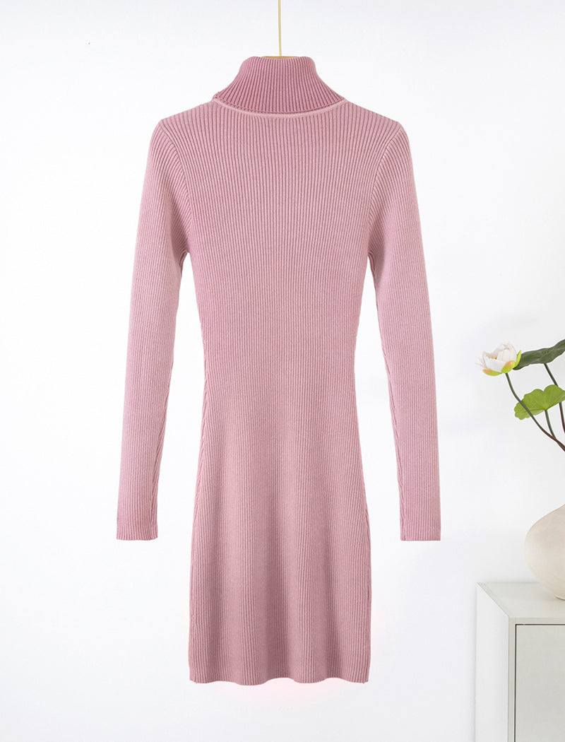 Ribbed Turtleneck Bodycon Dress