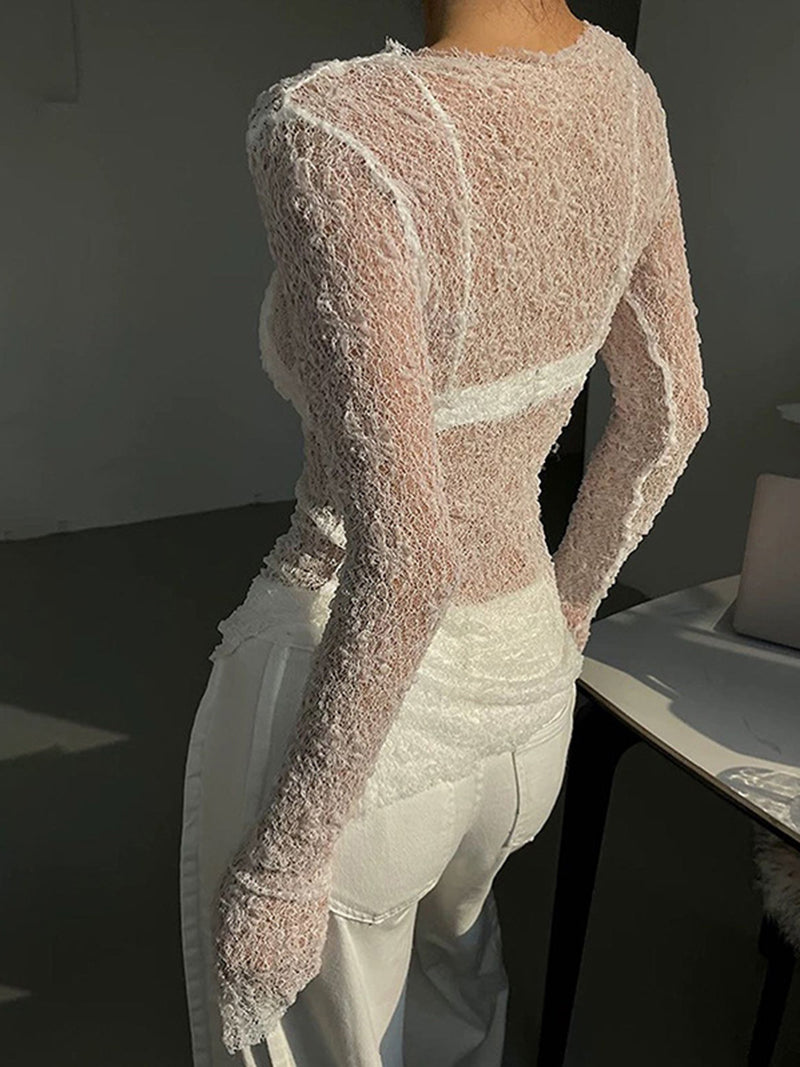 Sheer Lace Long Sleeve Top