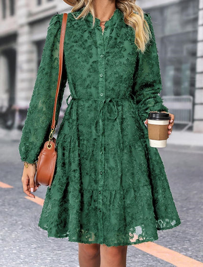 Long Sleeve Solid Color Dress