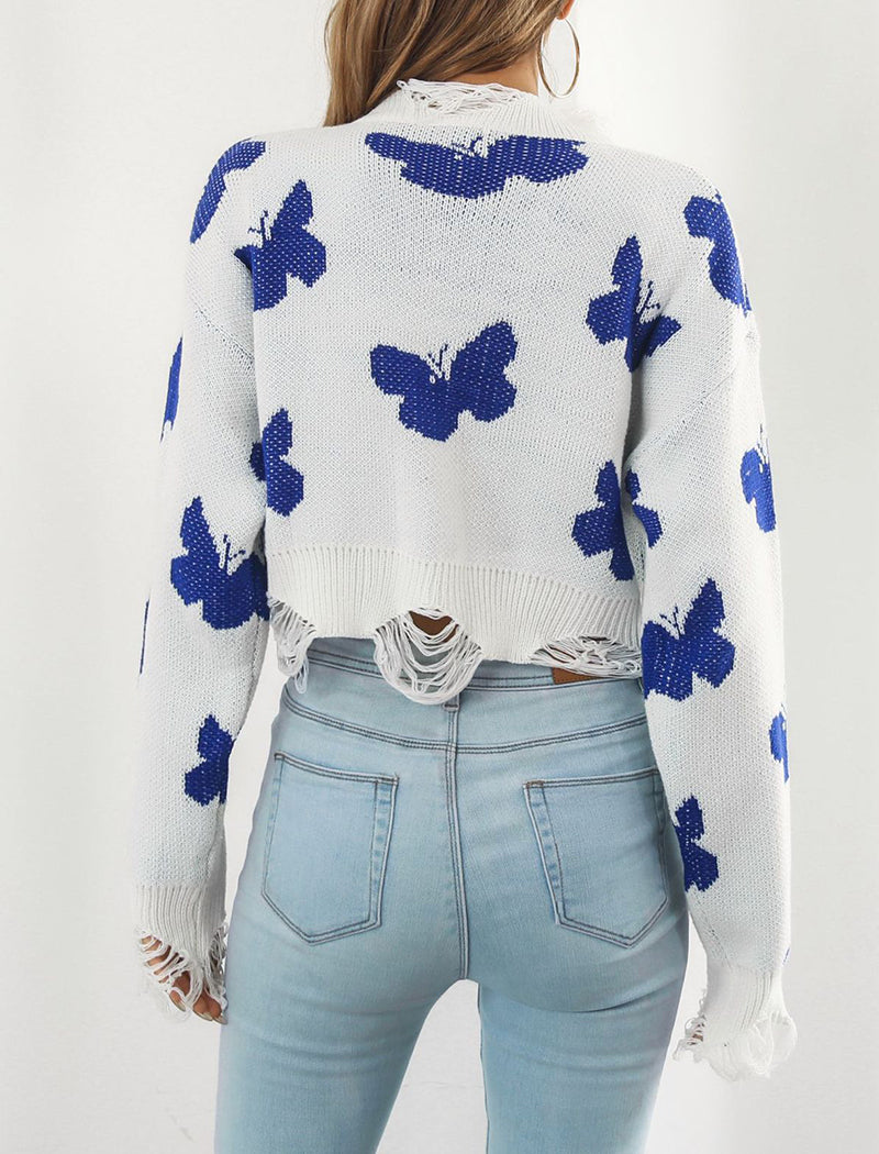 Butterfly Knit Sweater with Lace Trim