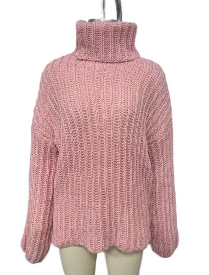 Loose Knit Oversized Turtleneck Sweater