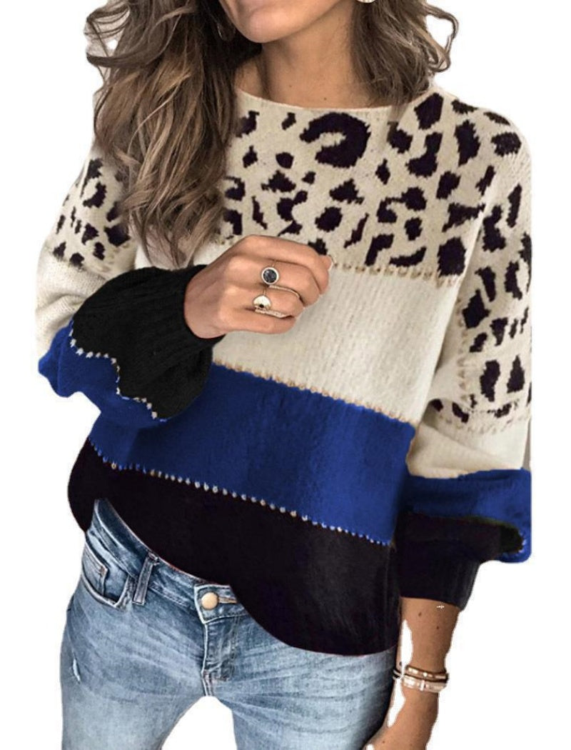 Leopard Print Colorblock Sweater with V-Neck