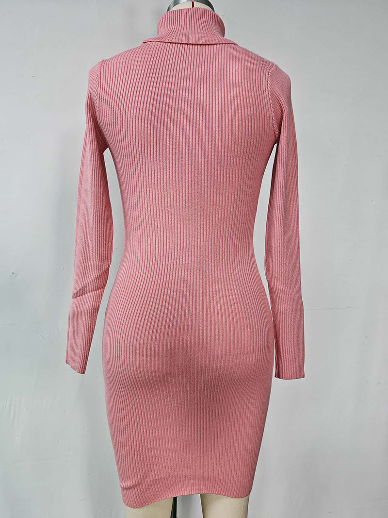 Ribbed Mock Neck Bodycon Mini Dress