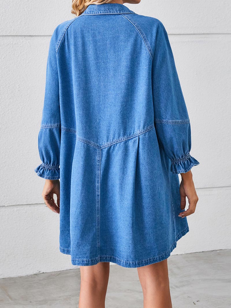 Button-Down Long Sleeve Denim Dress