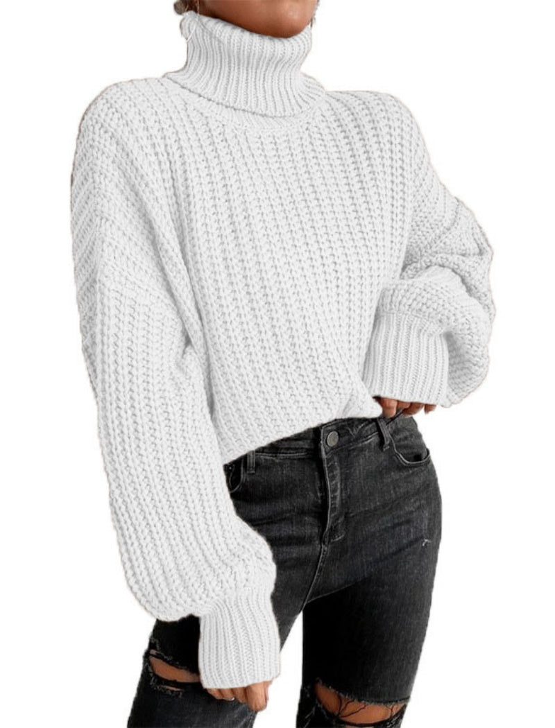 Chunky Knit Turtleneck Sweater