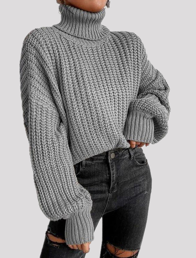 Chunky Turtleneck Knit Sweater