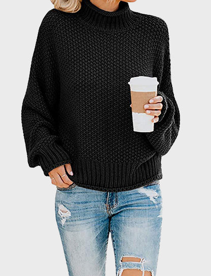 Chunky Knit Turtleneck Sweater