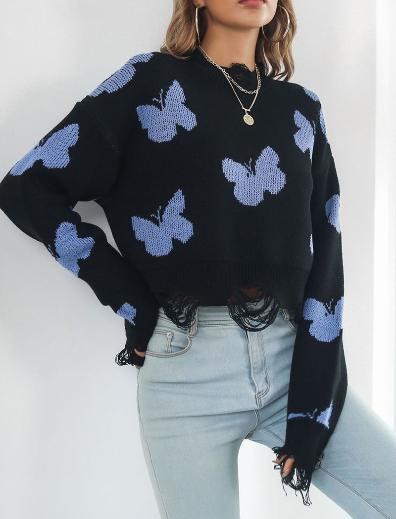 Butterfly Knit Sweater with Lace Trim