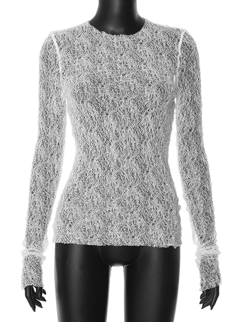 Sheer Lace Long Sleeve Top