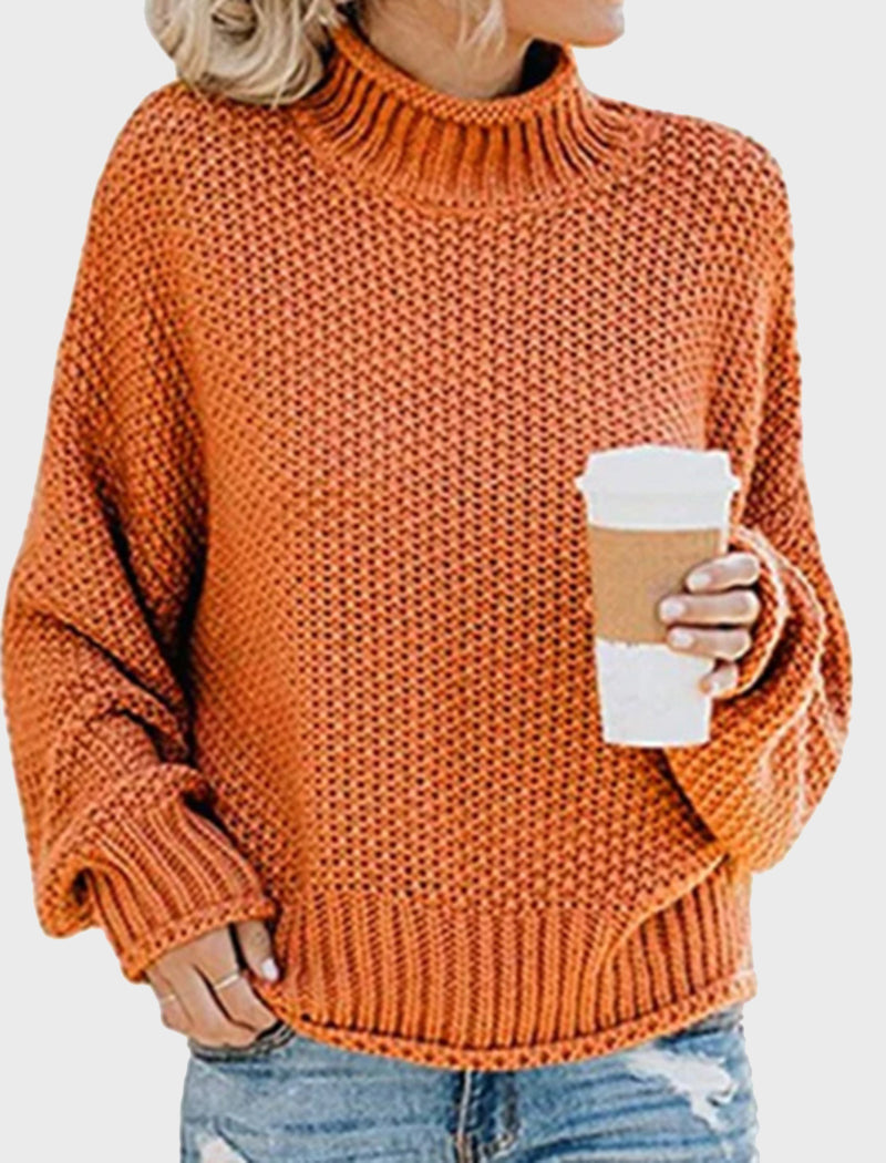 Chunky Knit Turtleneck Sweater