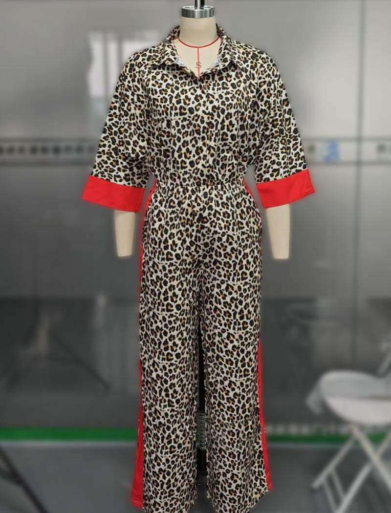 Leopard Print Colorblock Trim Cardigan and Pants Set