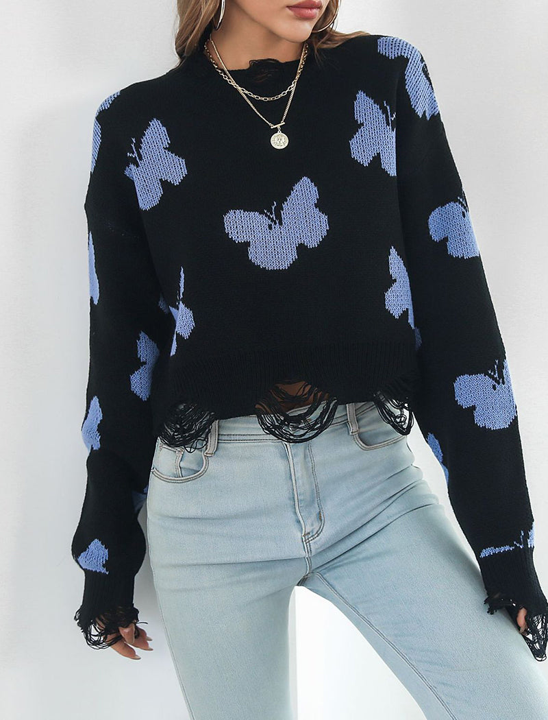 Butterfly Knit Sweater with Lace Trim