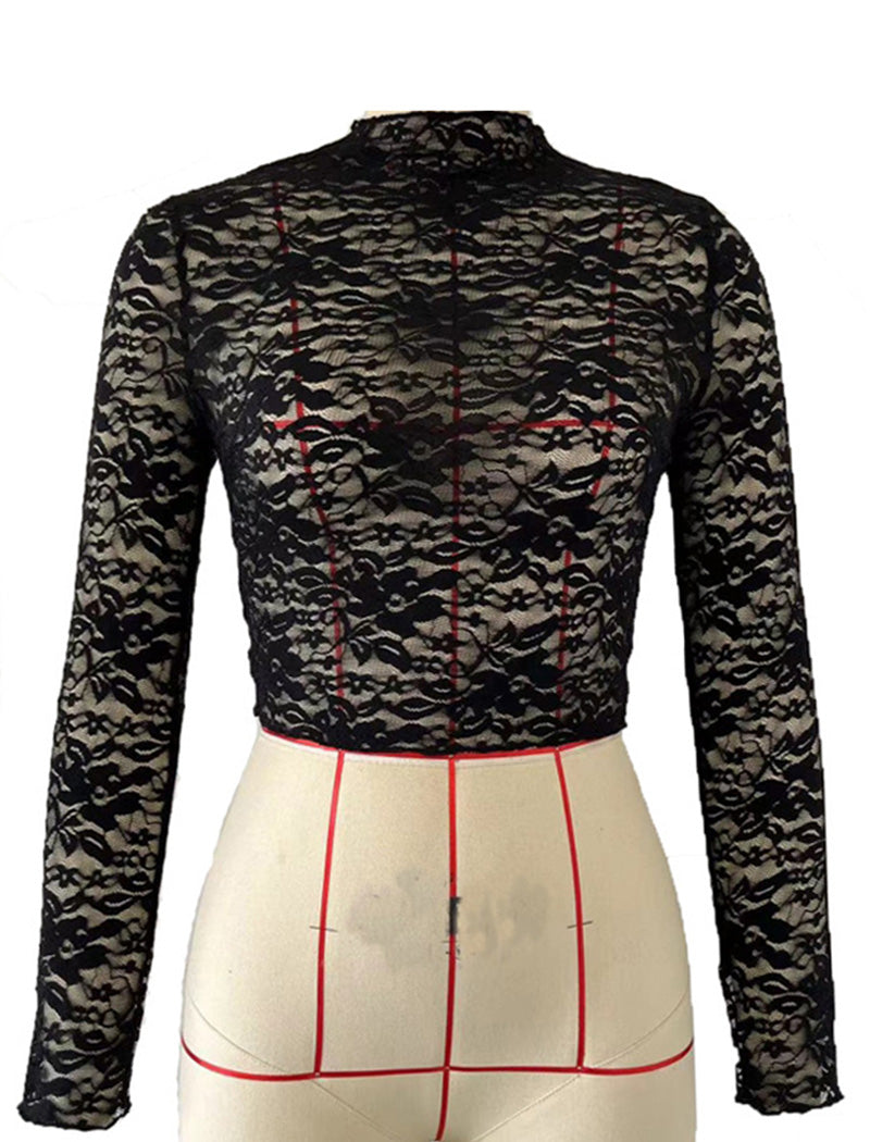 Sheer Lace Long Sleeve Crop Top