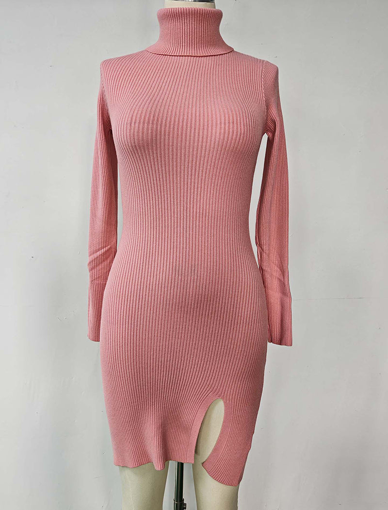 Ribbed Turtleneck Bodycon Dress