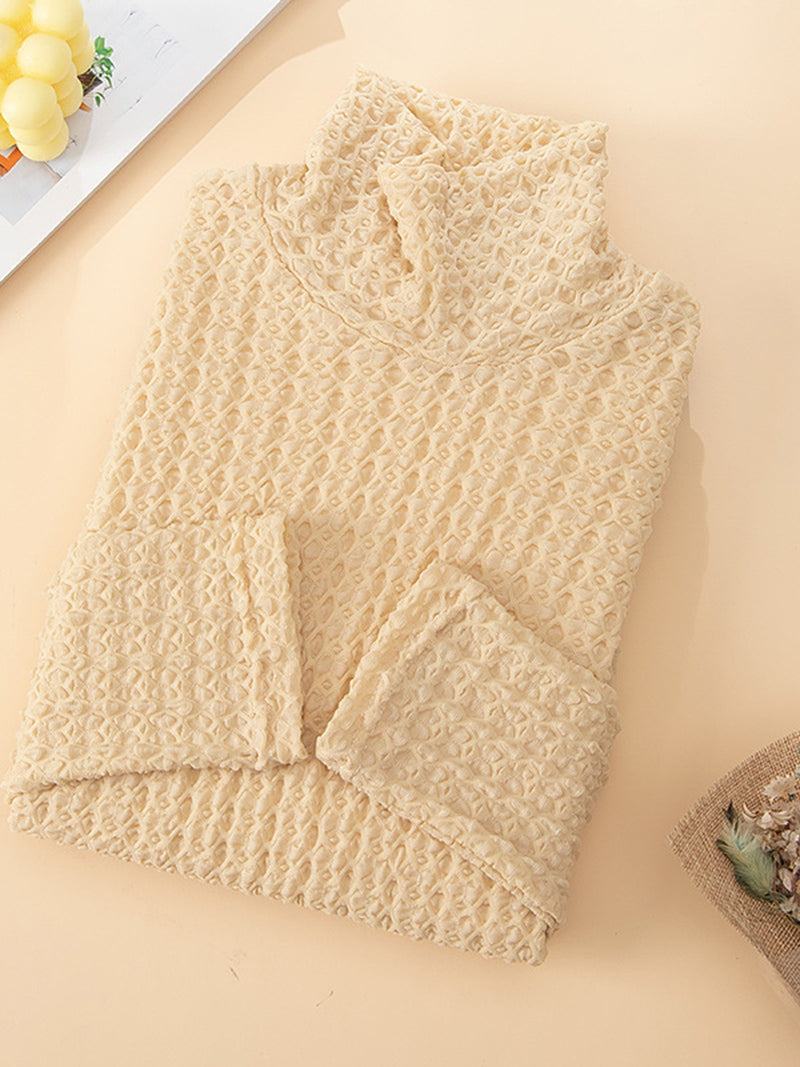 Turtleneck Textured Knit Sweater