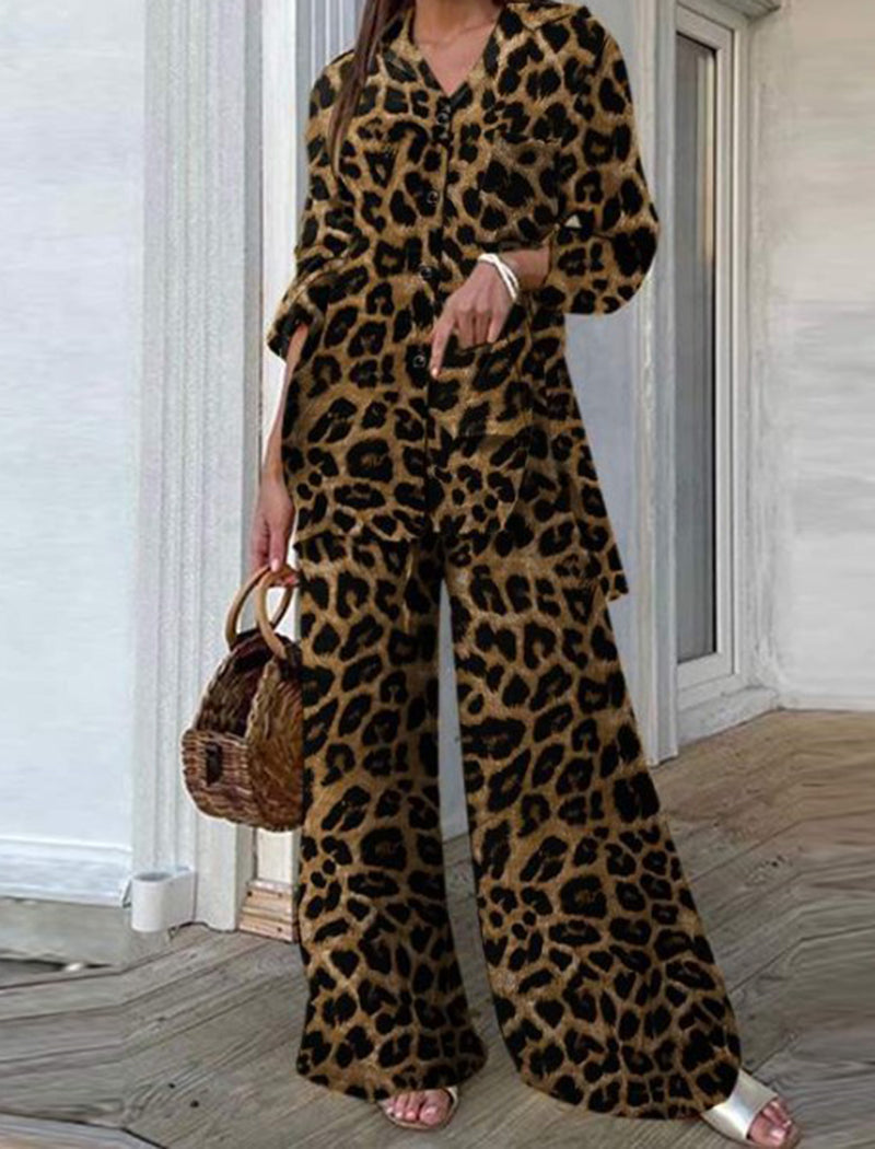 Animal Print Wide-Leg Pants Set