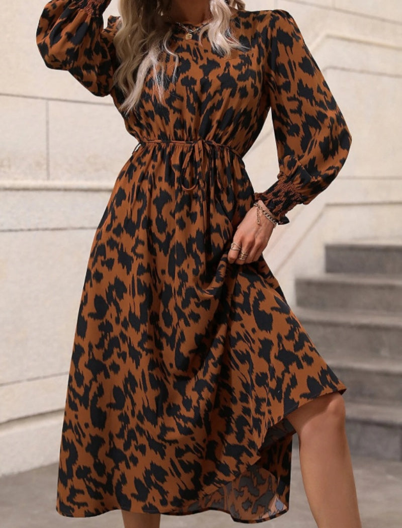 Animal Print Long Sleeve Midi Dress