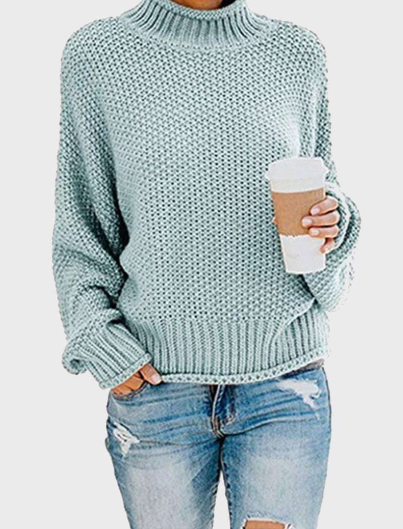 Chunky Knit Turtleneck Sweater