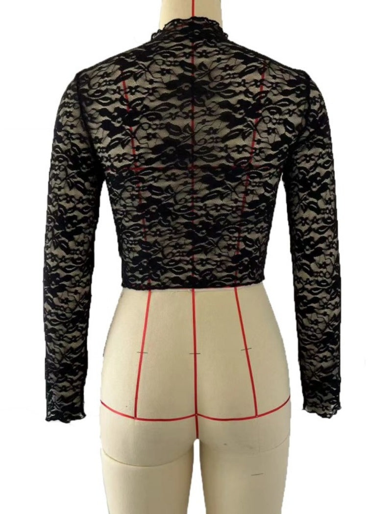 Sheer Lace Long Sleeve Crop Top